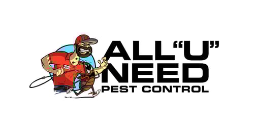 All You Need